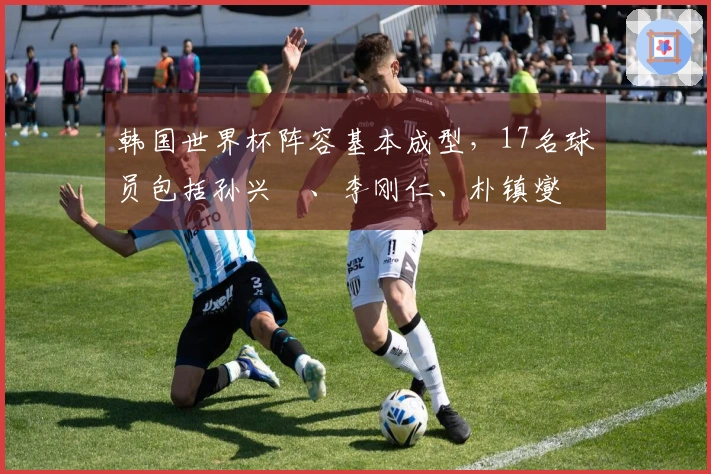 韩国世界杯阵容基本成型，17名球员包括孙兴慜、李刚仁、朴镇燮