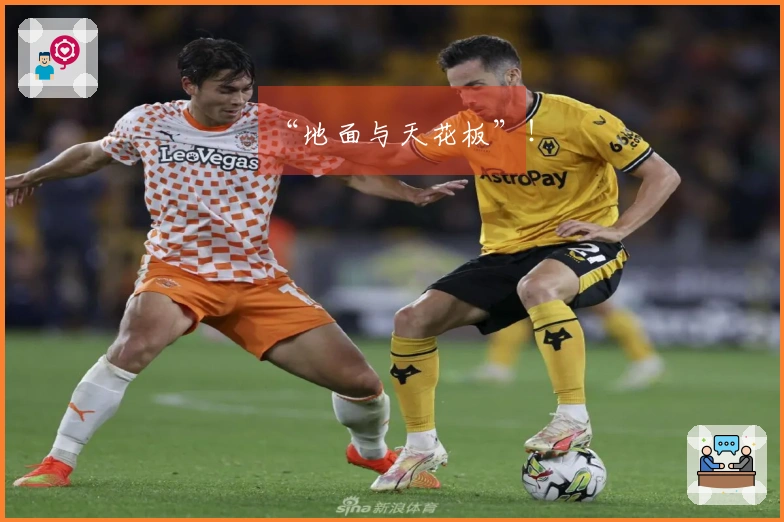 “地面与天花板”！