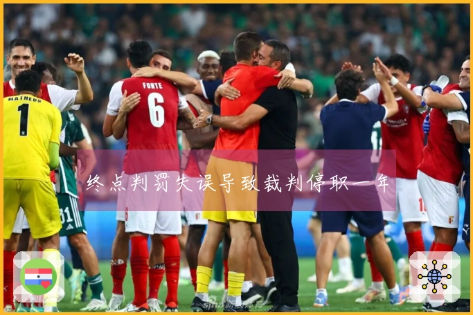终点判罚失误导致裁判停职一年